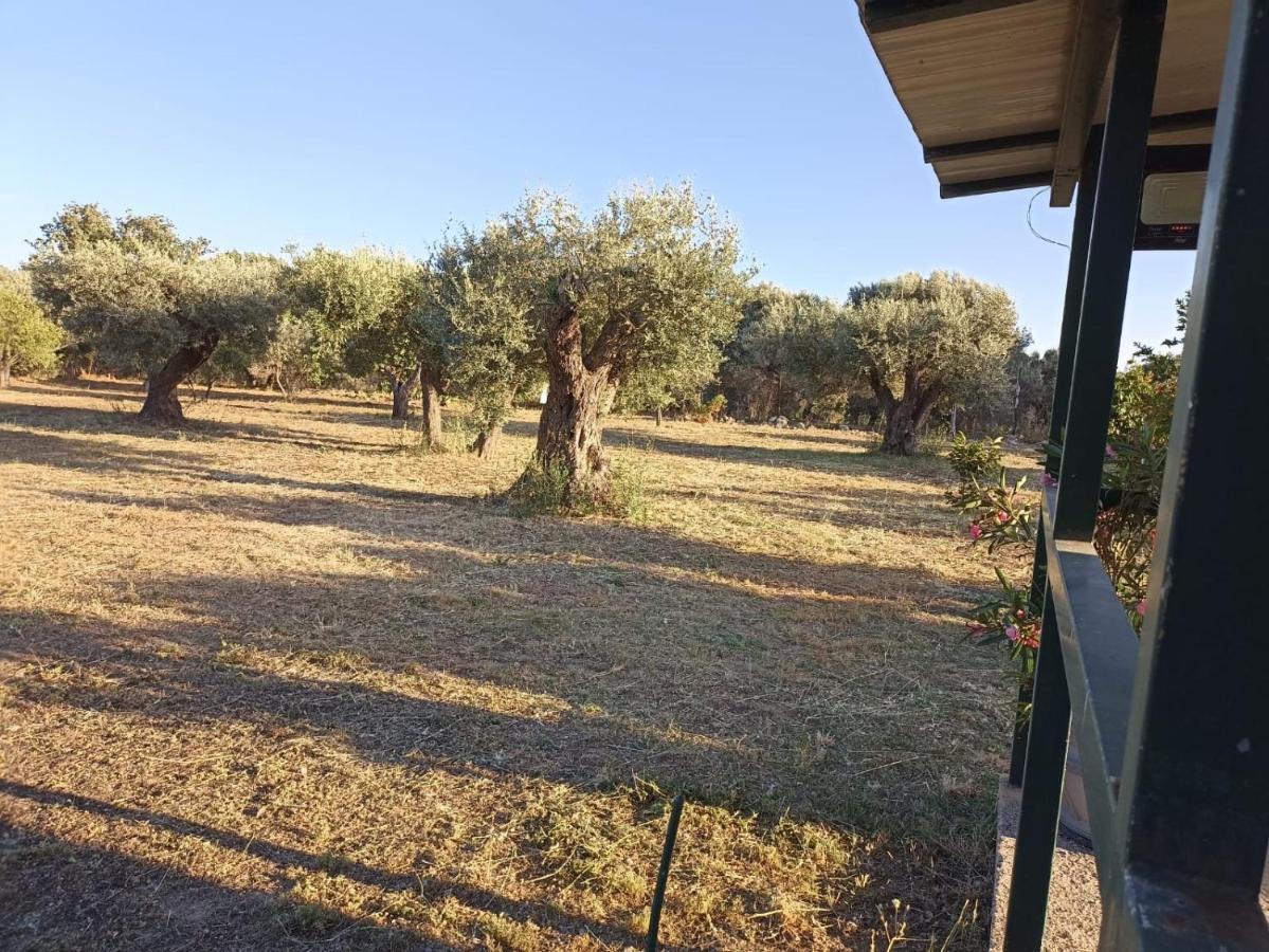 Relax E Tranquillita Villa Monasterace Exterior foto